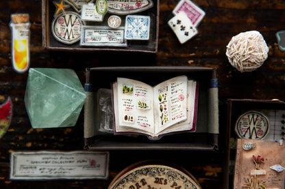 OURS PET Tape - Desk of Botanist